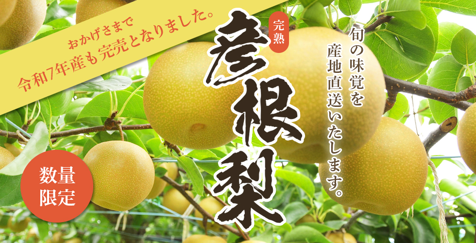 彦根梨2025年完売