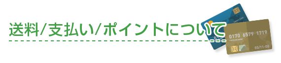 送料/お支払い/ポイントについて