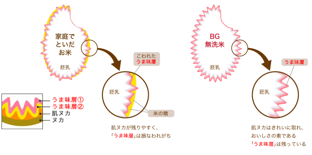 BGの無洗米なら肌ヌカがキレイに取り除かれるので、お米のおいしさがひきたつのです。